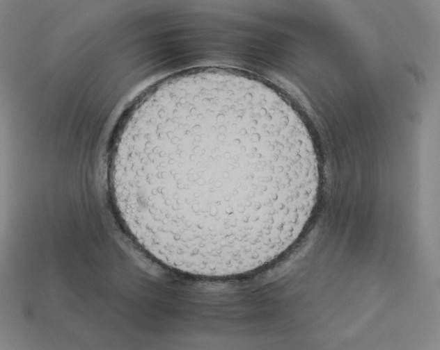 X0000113110931200910091156