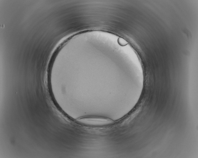 X0000113110932200910091156
