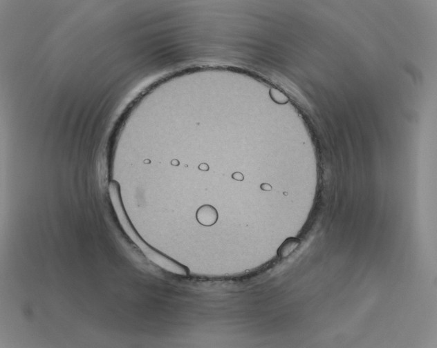 X0000113110934200910091156