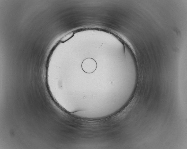 X0000113110935200910091156