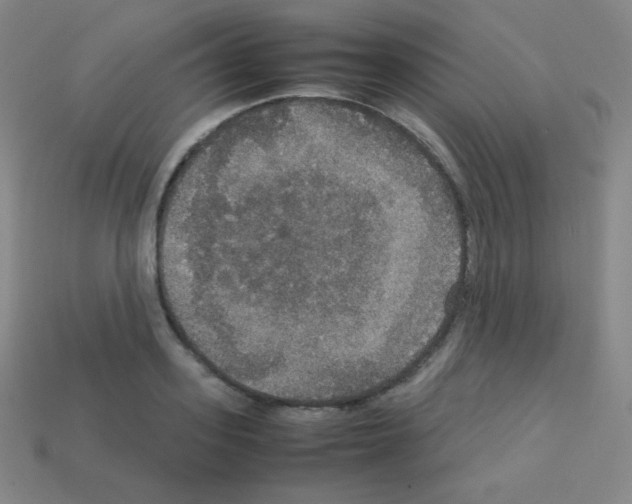X0000113110939200910091156