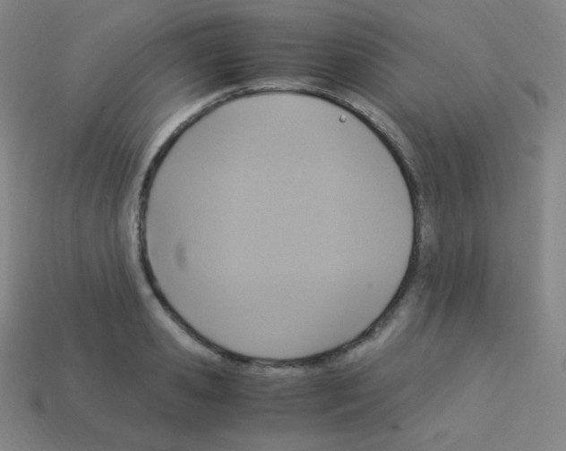 X0000113110941200910091157