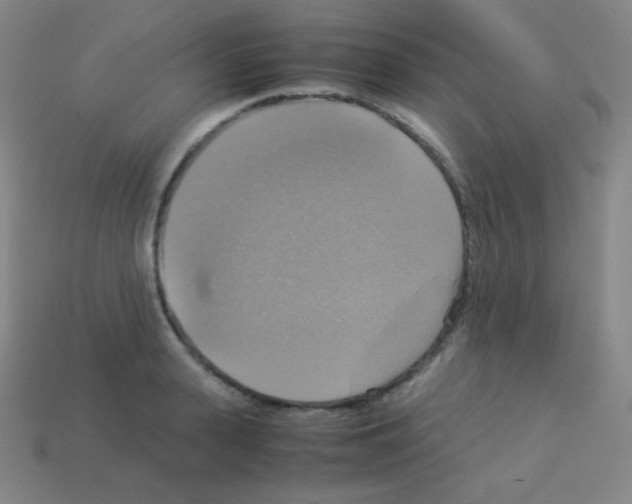 X0000113110943200910091157