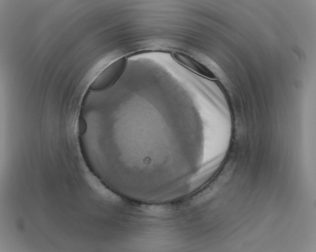 X0000113110946200910091157
