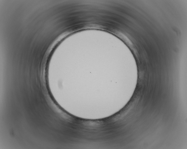 X0000113110947200910091157