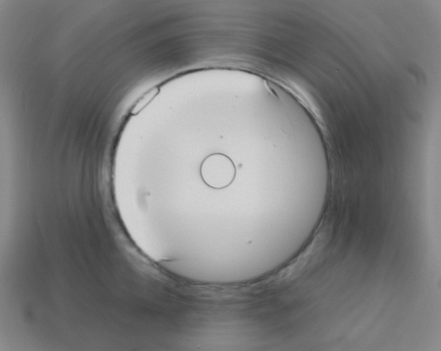 X0000113110952200910091157