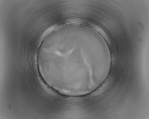 X0000113110954200910091157