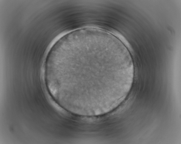X0000113110955200910091157