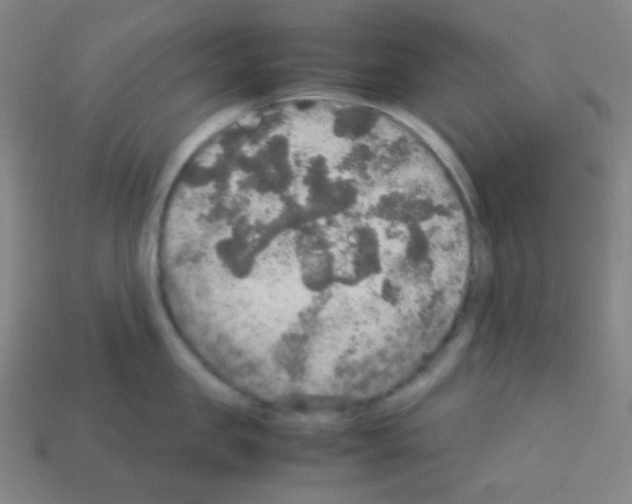 X0000113110957200910091157