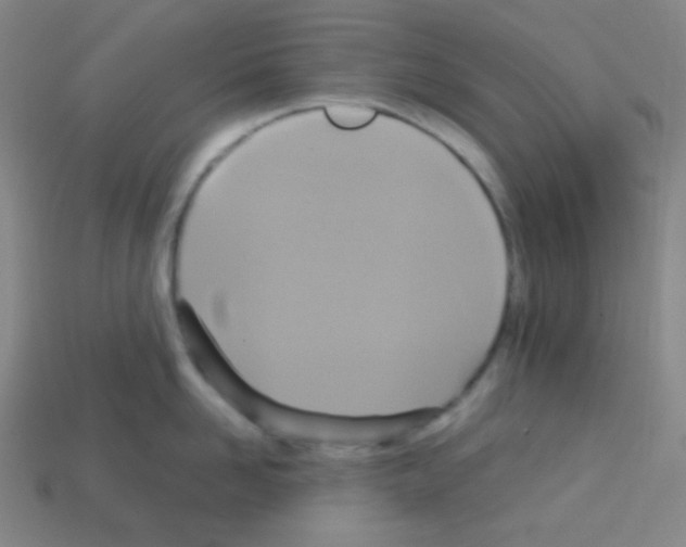 X0000113110958200910091157