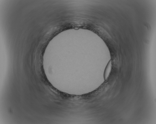 X0000113110961200910091156