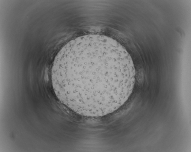 X0000113110962200910091156