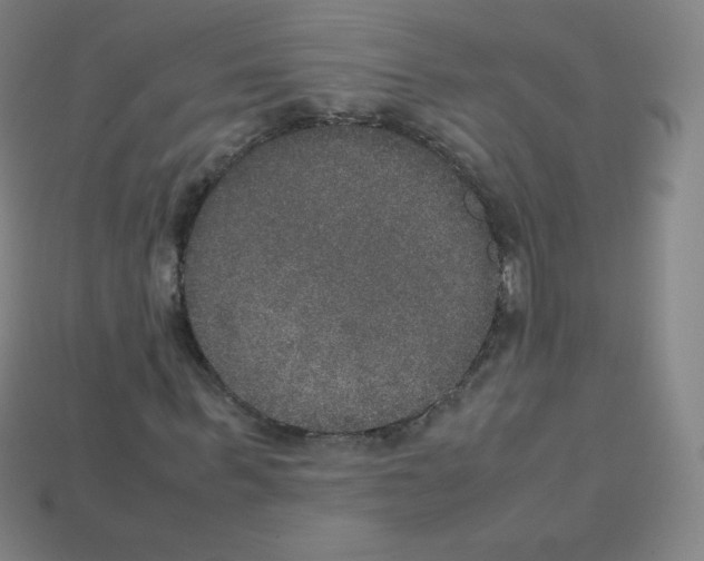 X0000113110963200910091156