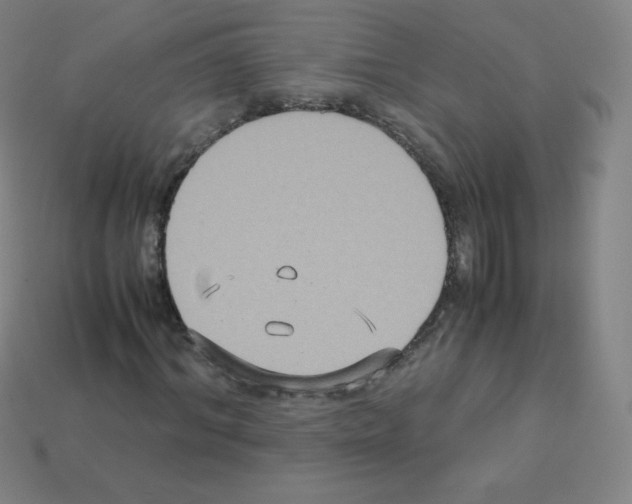 X0000113110964200910091156