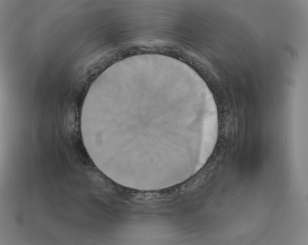 X0000113110966200910091156