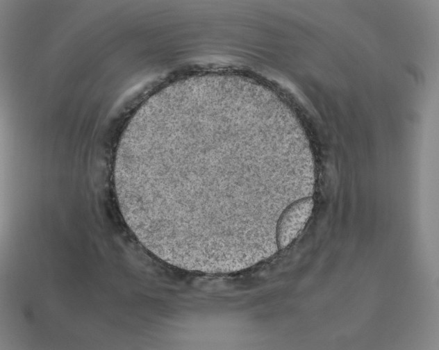 X0000113110967200910091156