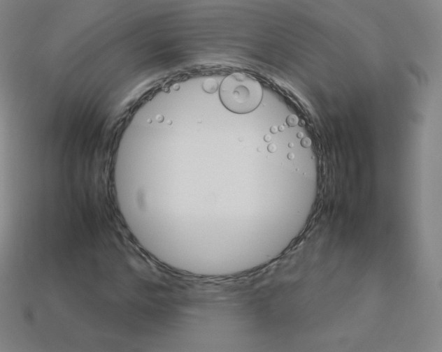 X0000113110968200910091156