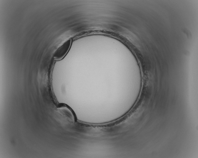 X0000113110969200910091156