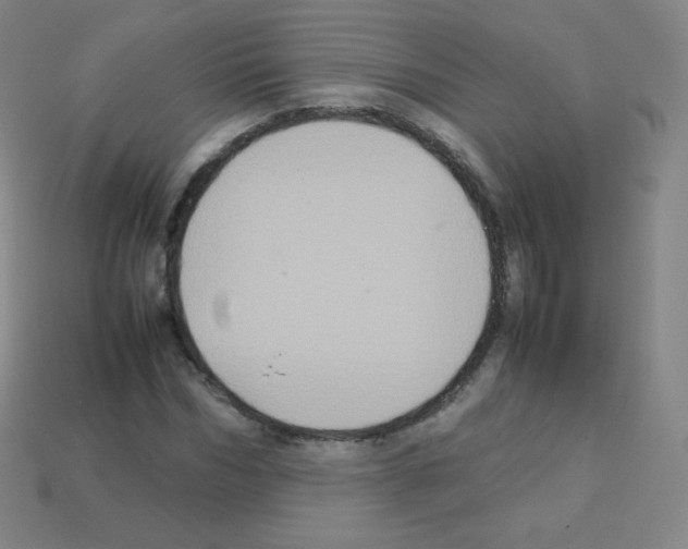 X0000113110970200910091156