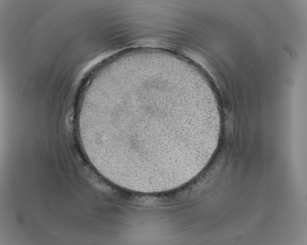 X0000113110971200910091156