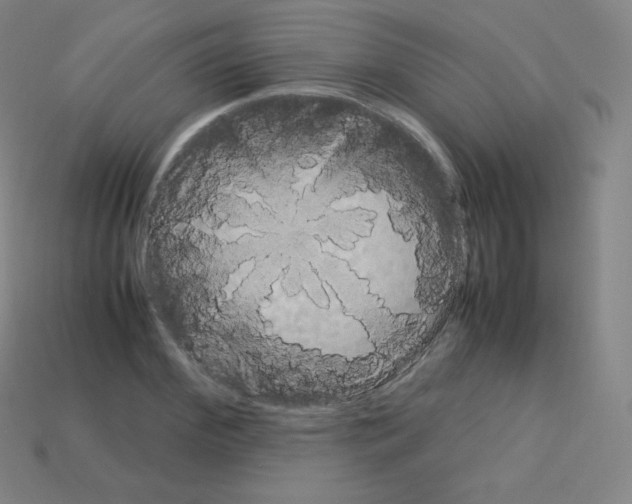 X0000113110972200910091156