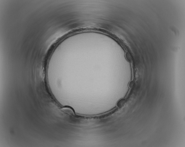 X0000113110973200910091156