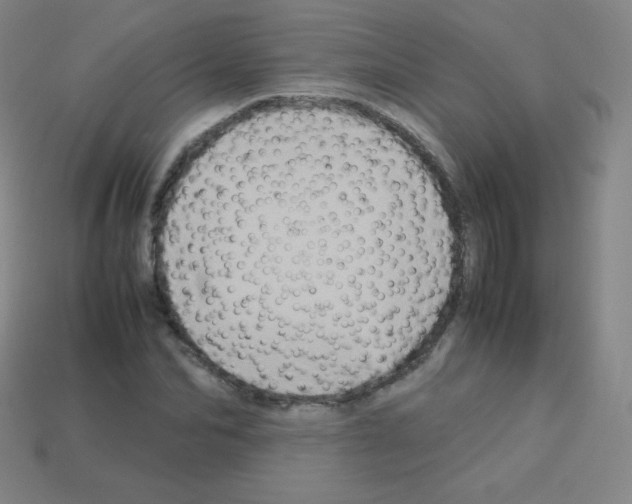 X0000113110974200910091156
