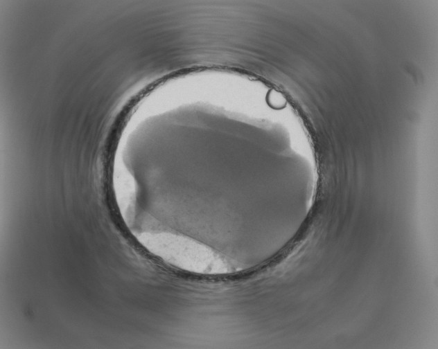 X0000113110975200910091156