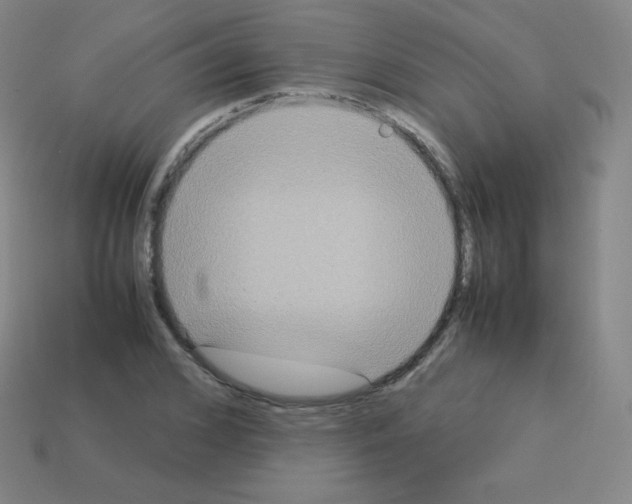 X0000113110976200910091156