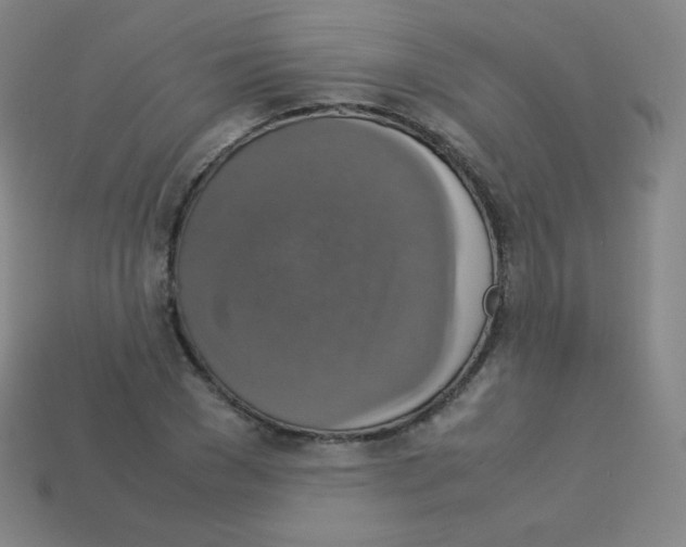X0000113110977200910091156