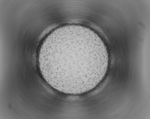 X0000113110978200910091156