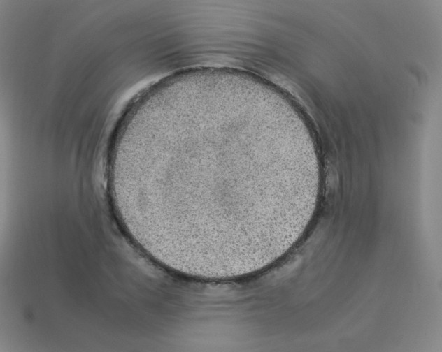 X0000113110979200910091156