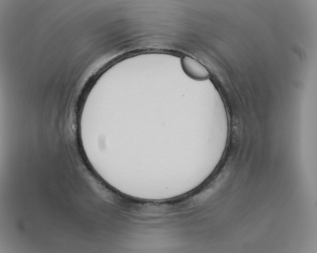 X0000113110981200910091156