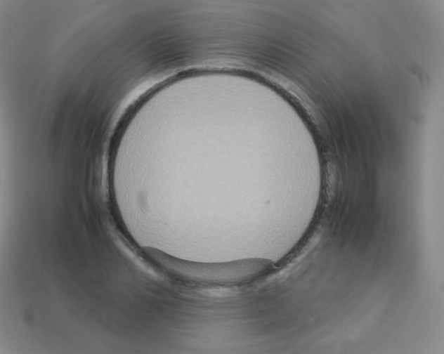 X0000113110982200910091156