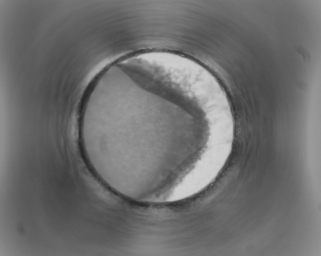 X0000113110983200910091156