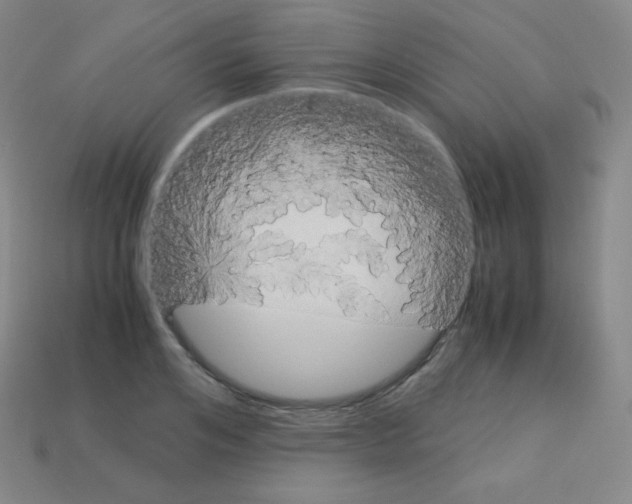 X0000113110984200910091156