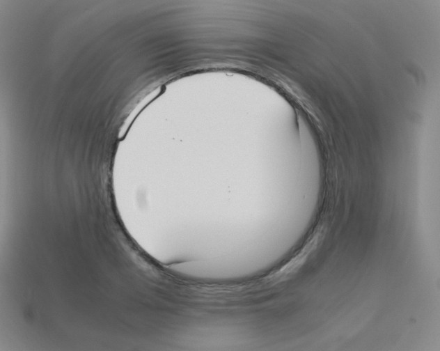 X0000113110985200910091156