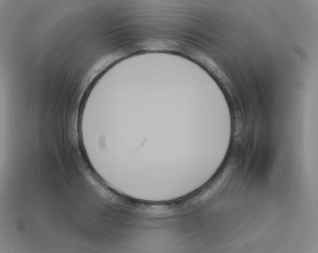 X0000113110986200910091156