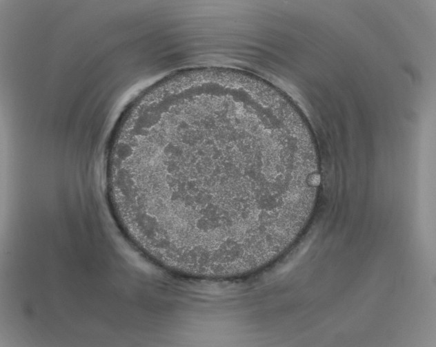 X0000113110987200910091156
