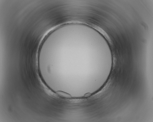 X0000113110988200910091156