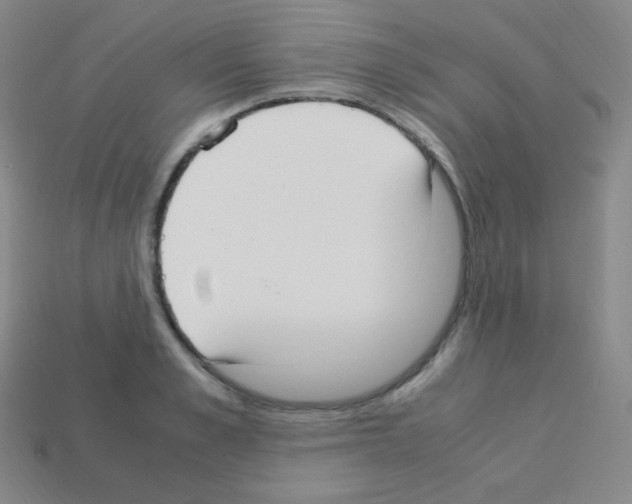 X0000113110989200910091156