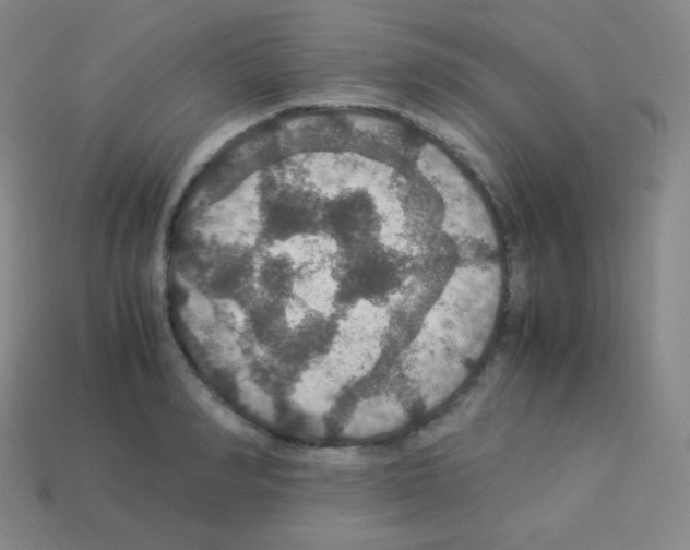X0000113110990200910091156