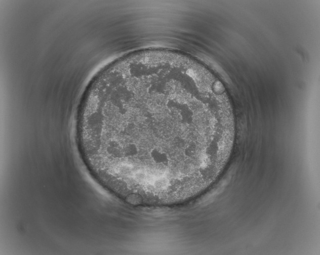 X0000113110991200910091156