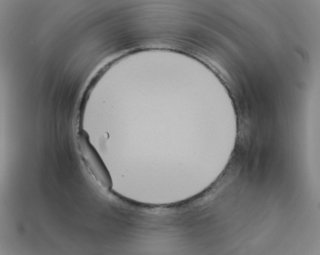 X0000113110992200910091156