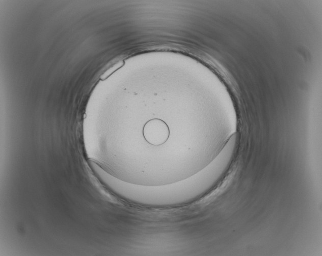 X0000113110993200910091156