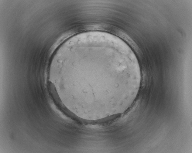 X0000113110994200910091156