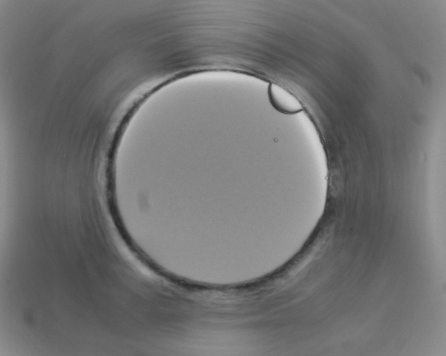 X0000113110995200910091156