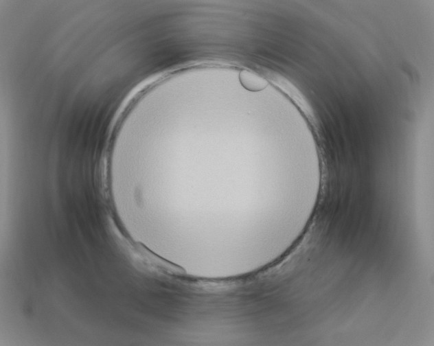 X0000113110996200910091156