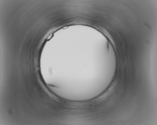 X0000113110997200910091156
