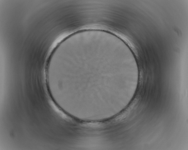 X0000113110998200910091156